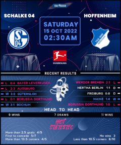 Schalke vs TSG Hoffenheim